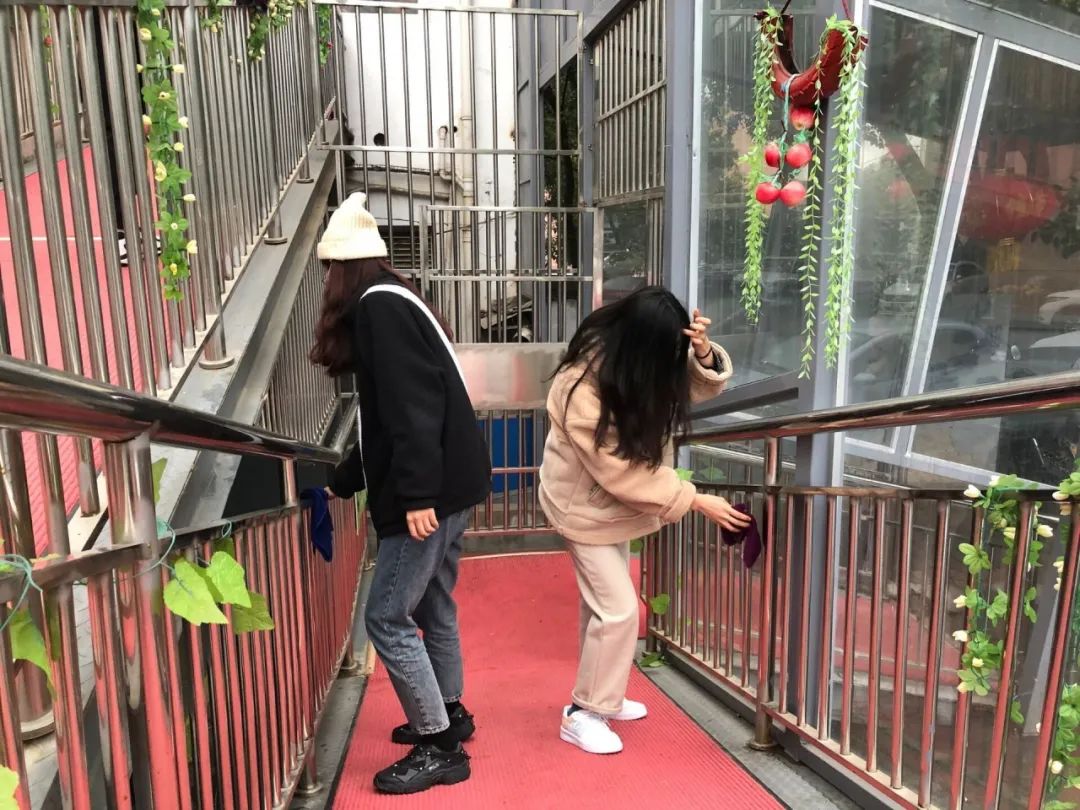 沙巴体育