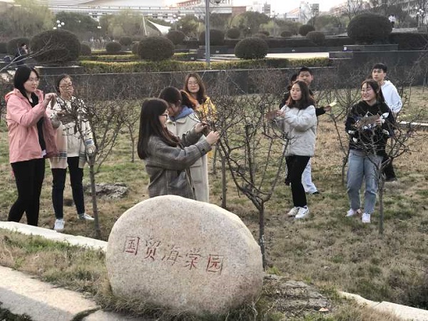 沙巴体育